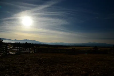 DSC_3015 (Large).JPG